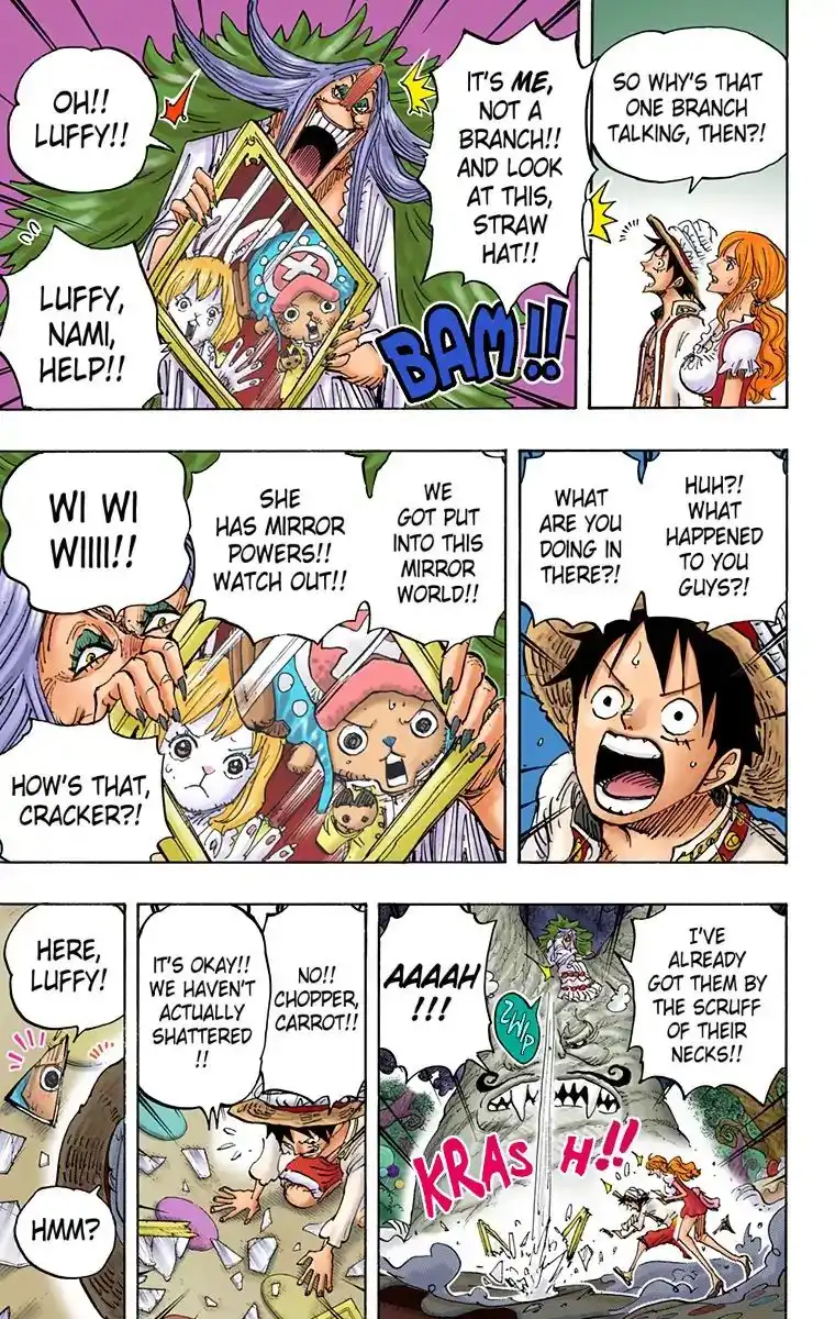 One Piece - Digital Colored Comics Chapter 836 9